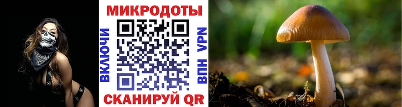 Галлюциногенные грибы мухоморы Дигора